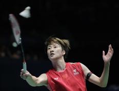 PG平台-关于韩国队逆转法国队，陈雨菲高光表现的信息