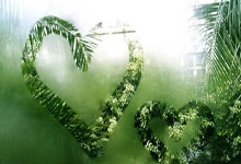 PG电子游戏-利拉德时刻，当爵士的防守在辽宁队面前形同虚设